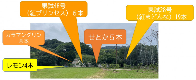 タイトルなし