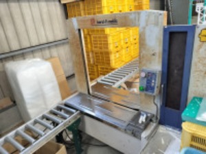 IMG20250604145349